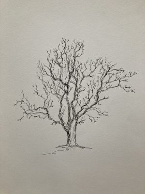 Tree for Trees in one line 3