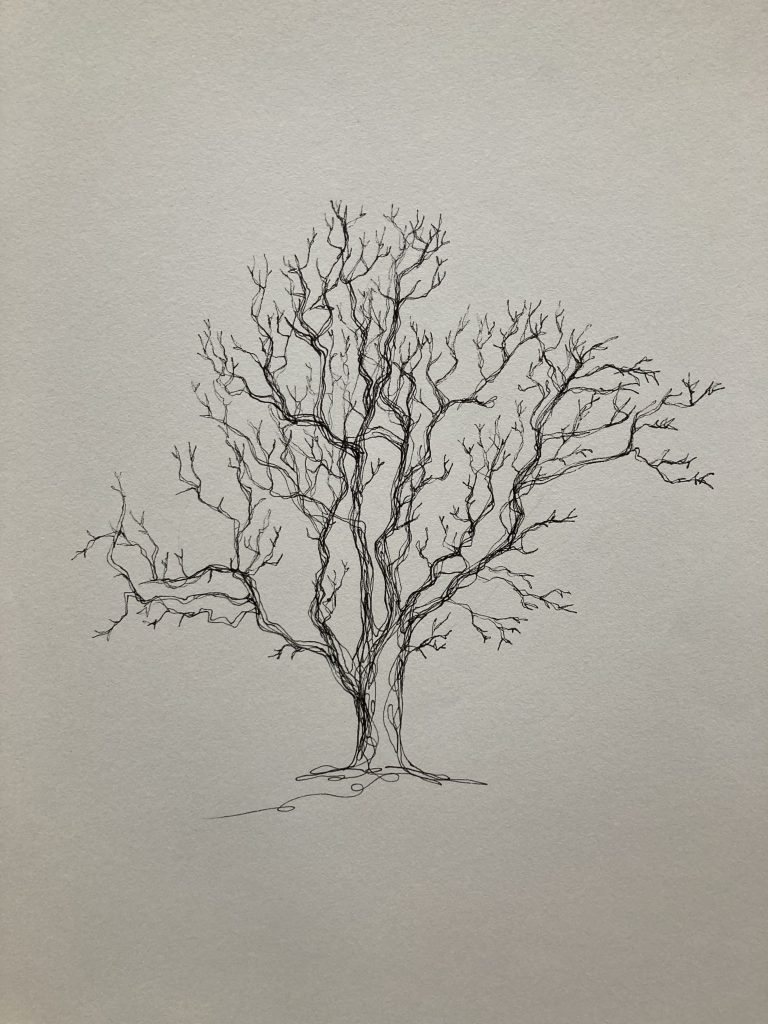 Tree for Trees in one line 3