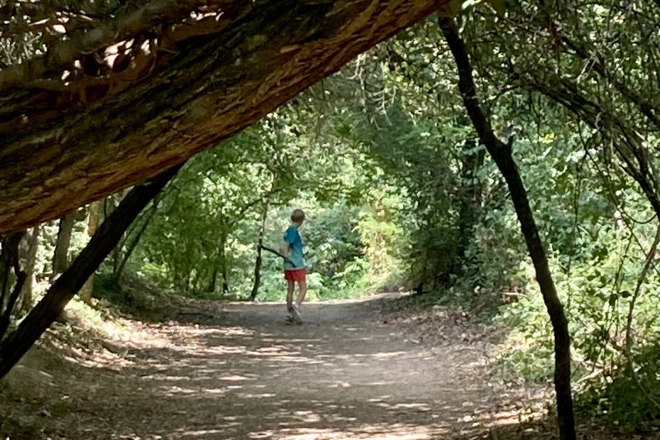 Jongen in bos
