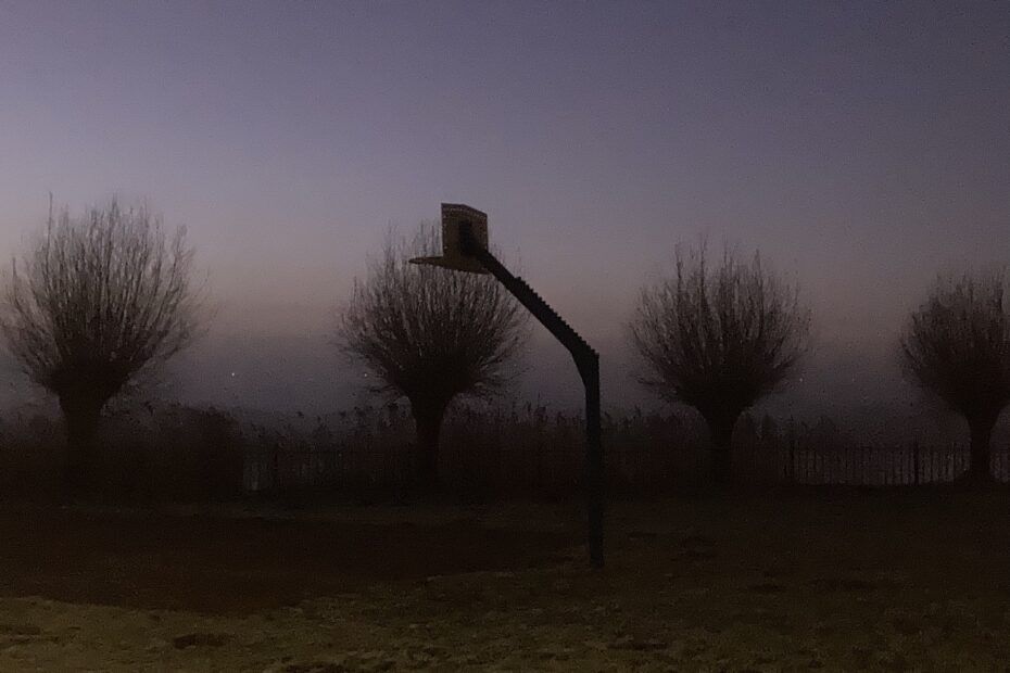 Foto basket in de ochtend