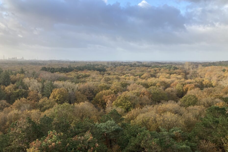 Foto Heemskerkse duinen