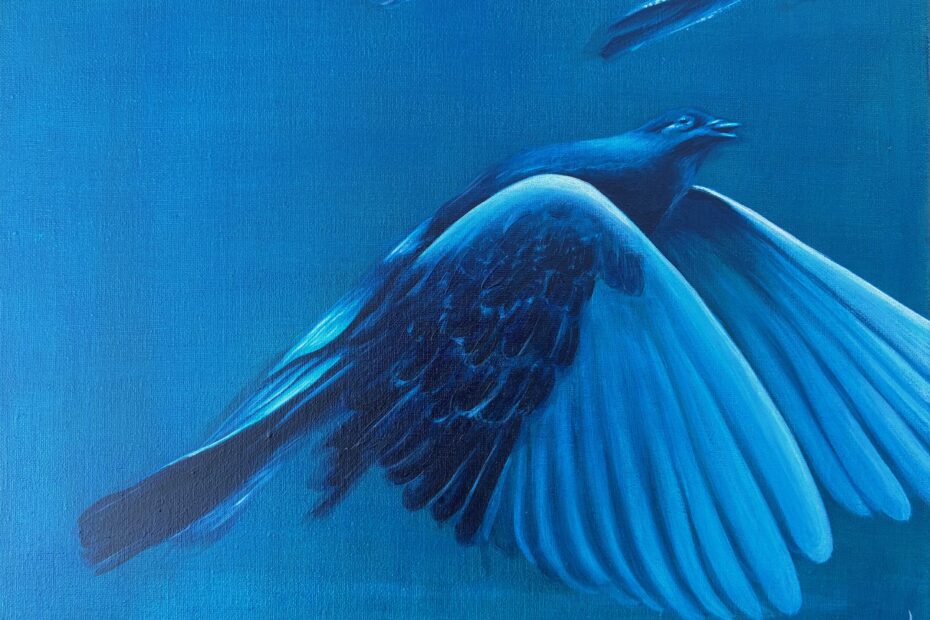 Duif in het blauwe uur