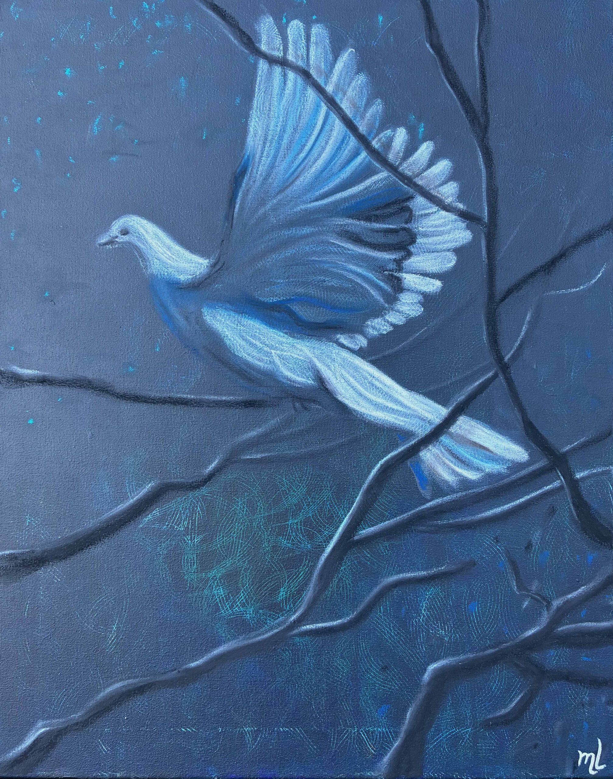 Duif in de nacht